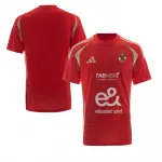 تيشرت الاهلي نسخه كاس العالم 2025 -ahly shirt world cup 2025